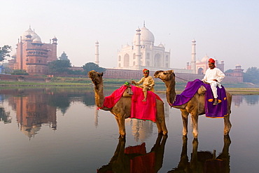 Man and boy riding camels in the Yamuna River in front of the Taj Mahal, UNESCO World Heritage Site, Agra, Uttar Pradesh, India, Asia