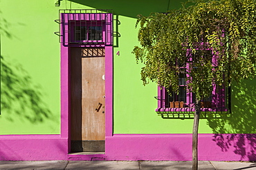 Colourfully painted housefronts in the trendy district of Barrio Bellavista, Santiago, Chile, South America