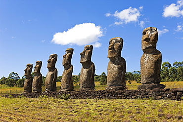 Ahu Tongariki, the largest ahu on the Island, Tongariki is a row of 15 giant stone Moai statues, Rapa Nui (Easter Island), UNESCO World Heritage Site, Chile, South America