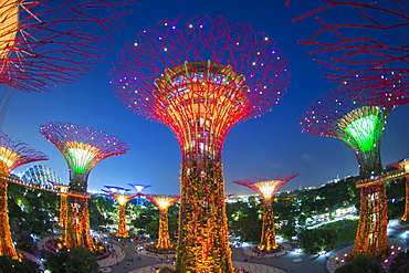 Supertrees at Gardens by the Bay, illuminated at night, Singapore, Southeast Asia, Asia