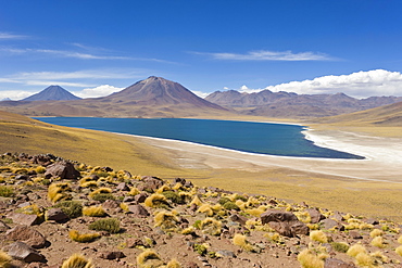 Laguna Miscanti at an altitude of 4300m and the peak of Cerro Miscanti at 5622m, Los Flamencos National Reserve, Atacama Desert, Antofagasta Region, Norte Grande, Chile, South America