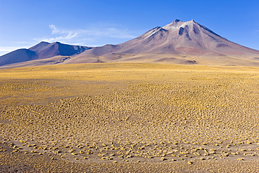 The altiplano at an altitude of over 4000m and the peak of Cerro Miniques at 5910m, Los Flamencos National Reserve, Atacama Desert, Antofagasta Region, Norte Grande, Chile, South America