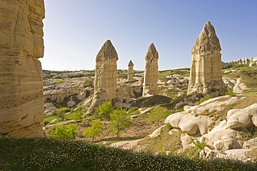 Phallic pillars known as fairy chimneys in the valley known as Love Valley near Goreme in Cappadocia, Anatolia, Turkey, Asia Minor, Eurasia