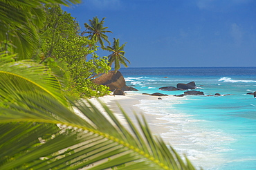 Empty beach, Seychelles, Indian Ocean, Africa