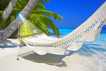 Empty hammock on beach, Maldives, Indian Ocean, Asia