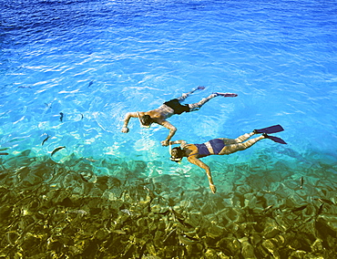 Couple snorkelling, Maldives, Indian Ocean, Asia