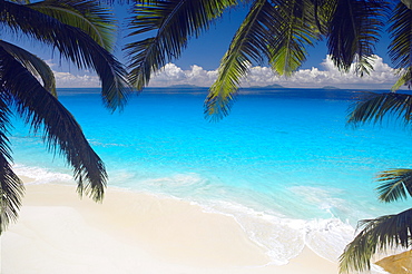 Empty beach and palms trees, Seychelles, Indian Ocean, Africa