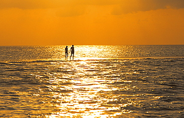 Silhouette of couple walking on a sandbank at sunset, Maldives, Indian Ocean, Asia