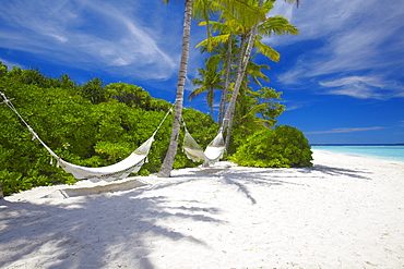 Hammock on empty tropical beach, Maldives, Indian Ocean, Asia