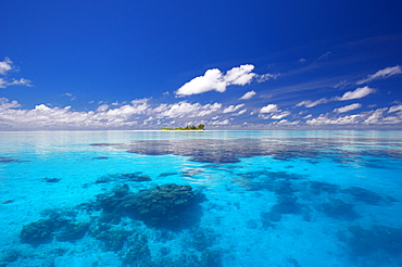 Tropical island surrounded by lagoon, Maldives, Indian Ocean, Asia