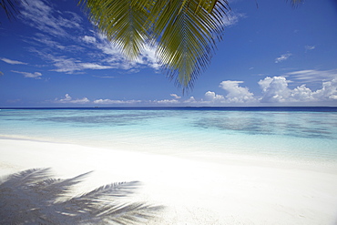 Maldives tropical beach, Maldives, Indian Ocean, Asia