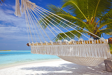 Hammock on tropical beach, Maldives, Indian Ocean, Asia