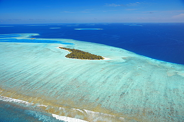 Aerial view of a tropical island, Maldives, Indian Ocean, Asia