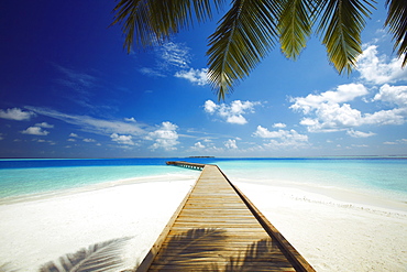 Wooden jetty out to tropical sea, Maldives, Indian Ocean, Asia