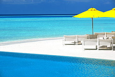 Infinity pool and lounge chairs, Maldives, Indian Ocean, Asia 