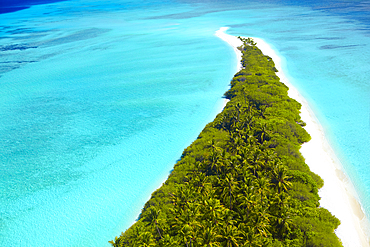 Aerial drone view of beautiful tropical island beach with palm trees, The Maldives, Indian Ocean, Asia