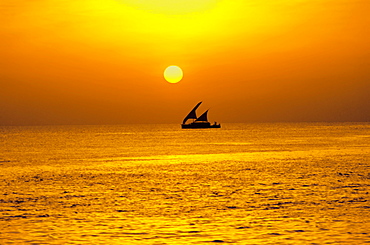 Traditional dhoni sailing boat at sunset, Maldives, Indian Ocean, Asia