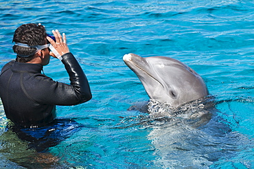 Dolphin Discovery at Chankanaab Park, Isla de Cozumel (Cozumel Island), Cozumel, off the Yucatan, Quintana Roo, Mexico, North America