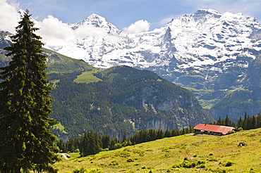 Jungfrau massif from Murren, Jungfrau Region, Switzerland, Europe