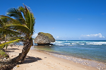 Bathsheba Beach, Barbados, Windward Islands, West Indies, Caribbean, Central America