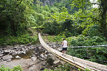 Bamboo bridge at Dark View Falls, St. Vincent, St. Vincent and The Grenadines, Windward Islands, West Indies, Caribbean, Central America