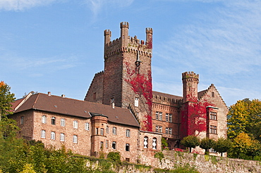 The Mittelburg (Middle Castle) in Neckarsteinach, Hesse, Germany, Europe