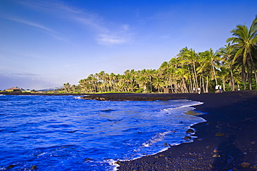 Punaluu black sand beach, Big Island, Hawaii, United States of America, Pacific, North America