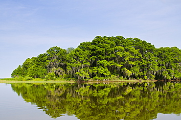 Everglades, UNESCO World Heritage Site, Florida, United States of America, North America