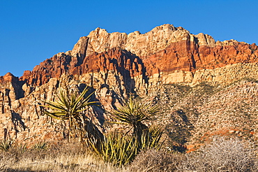 Red Rock Canyon outside Las Vegas, Nevada, United States of America, North America