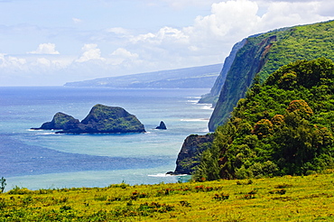 Pololu Valley, Kapaau coast, Big Island, Hawaii, United States of America, Pacific, North America