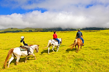 Horseback riding at Parker Ranch, The Big Island, Hawaii, United States of America, North America