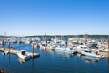 Harbour Port McNeill, British Columbia, Canada, North America