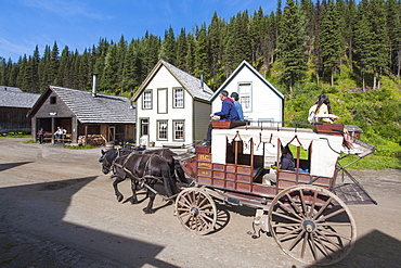 Stagecoach ride in historic gold town of Barkersville, British Columbia, Canada, North America