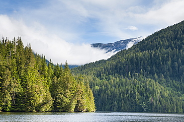 Coastal scenery in Great Bear Rainforest, British Columbia, Canada, North America 