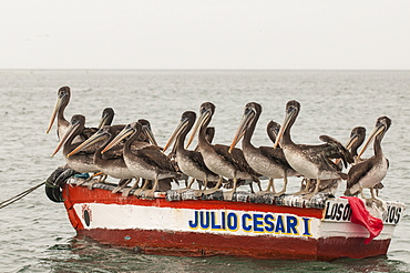 Fishing boats in Los Organos village near Mancora, Peru, South America