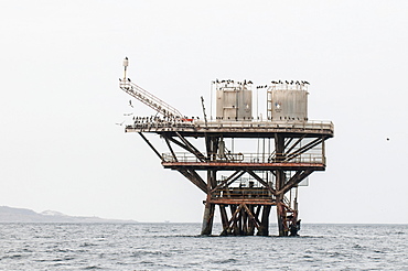 Oil platform near Cabo Blanco, Peru, South America