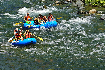 Rafting on the South Fork of the Trinity River, California, United States of America, North America