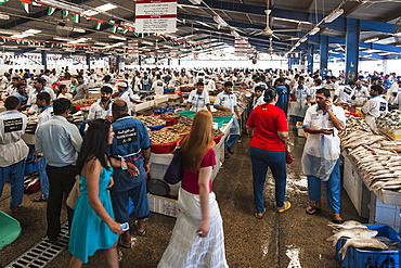 Deira Fish Market, Dubai, United Arab Emirates, Middle East