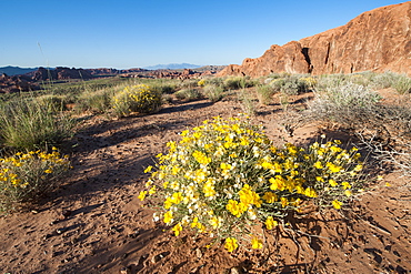 Valley of Fire State Park outside Las Vegas, Nevada, United States of America, North America