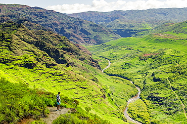 Waimea Canyon State Park, Kauai, Hawaii, United States of America, Pacific