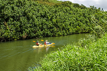 Kayaking on the Wailua River, Kauai, Hawaii, United States of America, Pacific