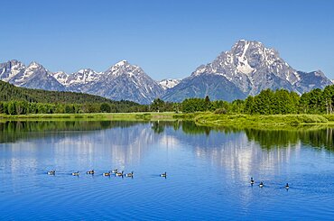 Small lake in Grand Teton National Park, Wyoming, United States of America, North America