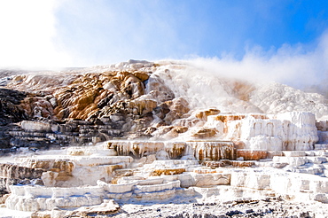 Mammoth Hot Springs terraces, Yellowstone National Park, UNESCO World Heritage Site, Wyoming, United States of America, North America