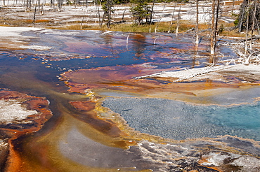 Firehole Spring, Yellowstone National Park, UNESCO World Heritage Site, Wyoming, United States of America, North America