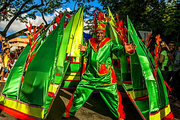 Caribbean participants in the International Carnival Seychelles, in Victoria, Mahe, Republic of Seychelles, Indian Ocean, Africa