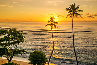 Anse Forbons beach, Mahe, Republic of Seychelles, Indian Ocean, Africa