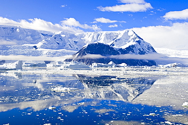 Neko Cove (Harboor), Antarctica, Polar Regions