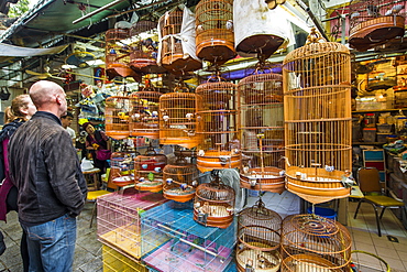 Yuen Po Street Bird Garden market, Mongkok, Kowloon, Hong Kong, China, Asia