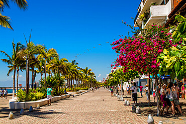 The Malecon, Puerto Vallarta, Jalisco, Mexico, North America