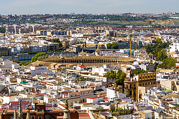 Panoramic views of Seville and the 18th century Bullring in Plaza de Toros de la Maestranza, from the Cathedral, Seville, Andalusia, Spain, Europe